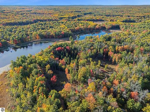 Tiny photo for 6483 S Emma Avenue, Baldwin, MI 49304 (MLS # 1939710)