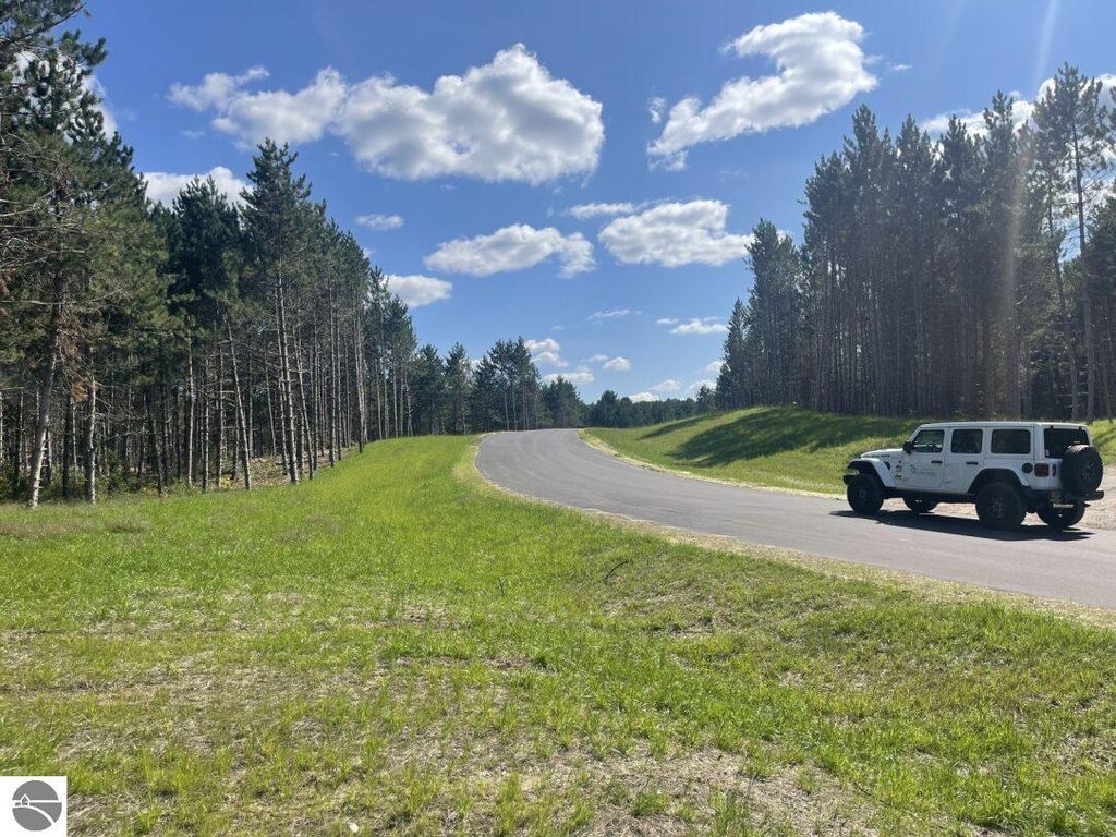 Photo of 3096 NW Wildflower Lane, Williamsburg, MI 49690 (MLS # 1939584)