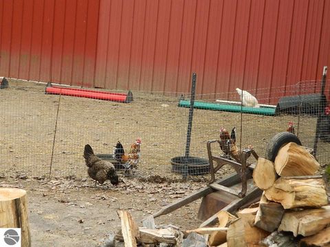 Tiny photo for 5651 E Haskell Lake Road, Harrison, MI 48625 (MLS # 1933552)