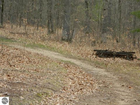 Tiny photo for 5651 E Haskell Lake Road, Harrison, MI 48625 (MLS # 1933552)