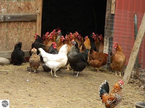 Tiny photo for 5651 E Haskell Lake Road, Harrison, MI 48625 (MLS # 1933552)