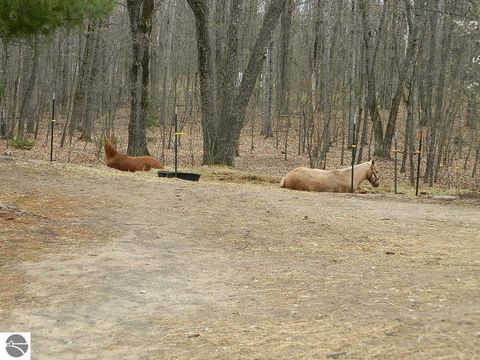 Tiny photo for 5651 E Haskell Lake Road, Harrison, MI 48625 (MLS # 1933552)