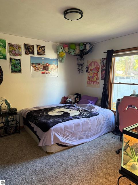 Tiny photo for 515 Selma Street, Cadillac, MI 49601 (MLS # 1939953)