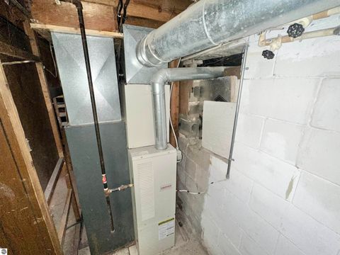 Tiny photo for 311 Union Street, St Louis, MI 48880 (MLS # 1939491)