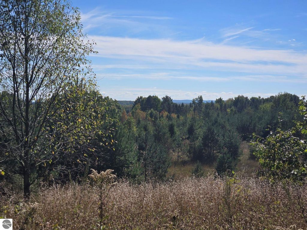 Photo of 40 Moorestown Road, Lake City, MI 49651 (MLS # 1939638)
