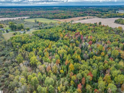 Tiny photo for 2616 Wickes Road, West Branch, MI 48661 (MLS # 1939823)