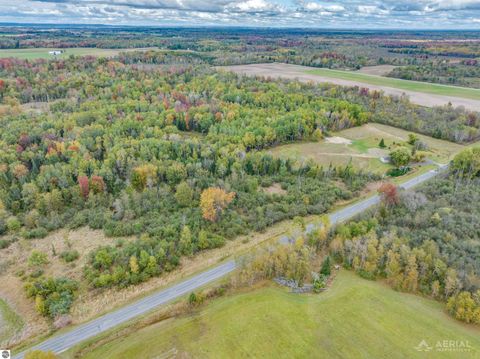 Tiny photo for 2616 Wickes Road, West Branch, MI 48661 (MLS # 1939823)