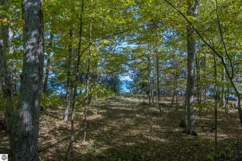 Tiny photo for N Forest Beach Shores, Northport, MI 49670 (MLS # 1939493)