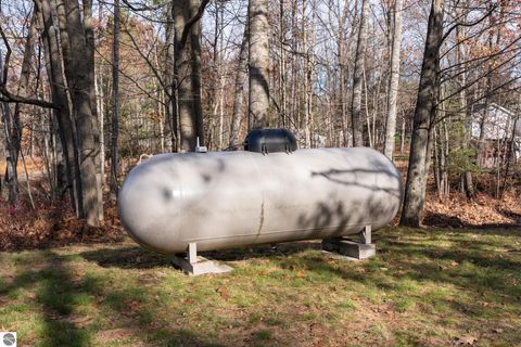 Tiny photo for 4553 S Paradise, Merritt, MI 49667 (MLS # 1940348)