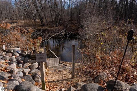 Tiny photo for 4553 S Paradise, Merritt, MI 49667 (MLS # 1940348)