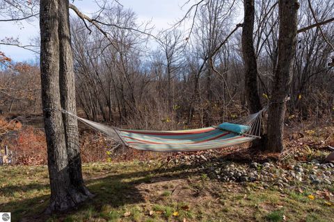 Tiny photo for 4553 S Paradise, Merritt, MI 49667 (MLS # 1940348)