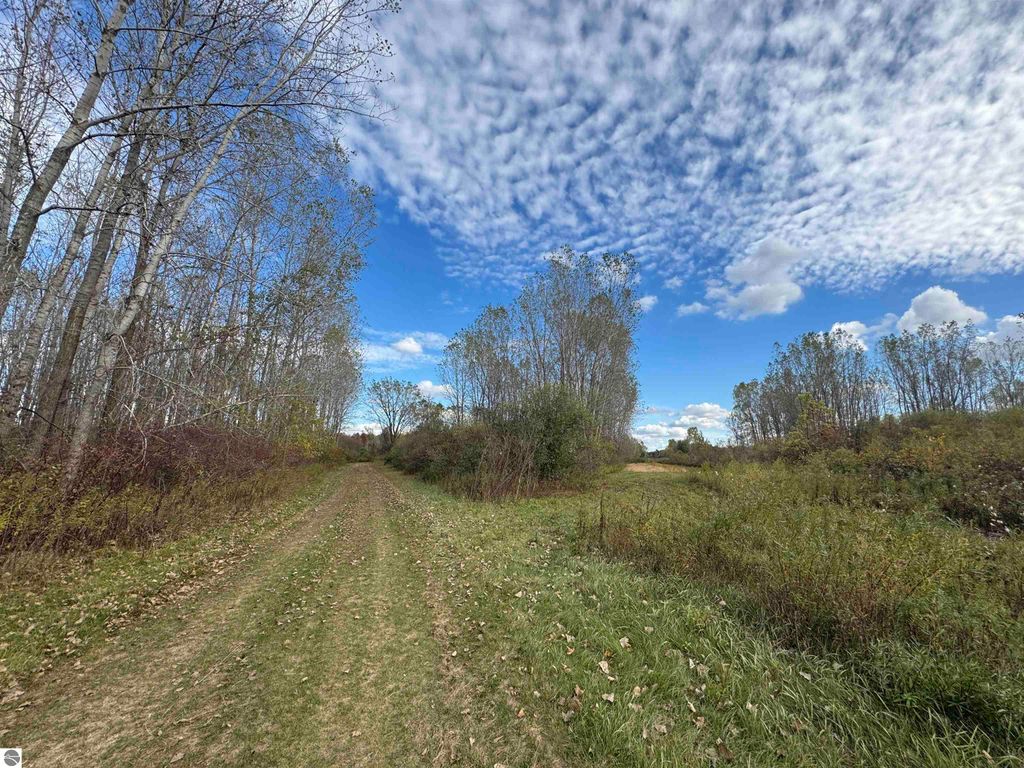 Photo of 3331 Geneva Road, St Louis, MI 48880 (MLS # 1939610)