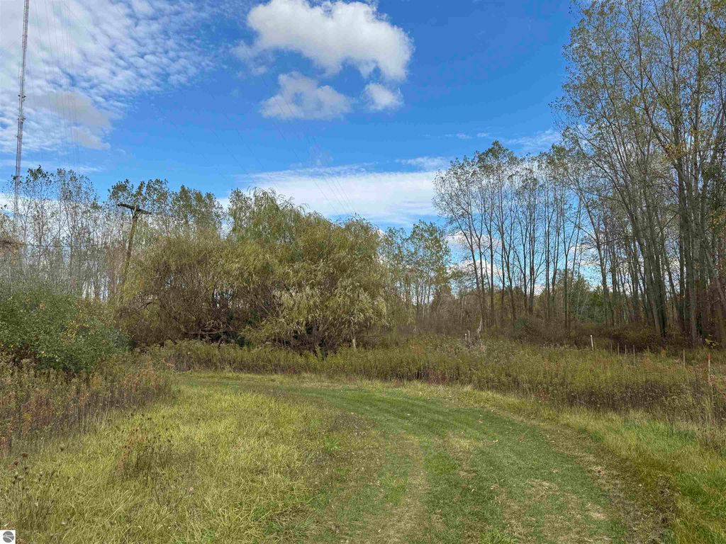 Photo of 3331 Geneva Road, St Louis, MI 48880 (MLS # 1939610)