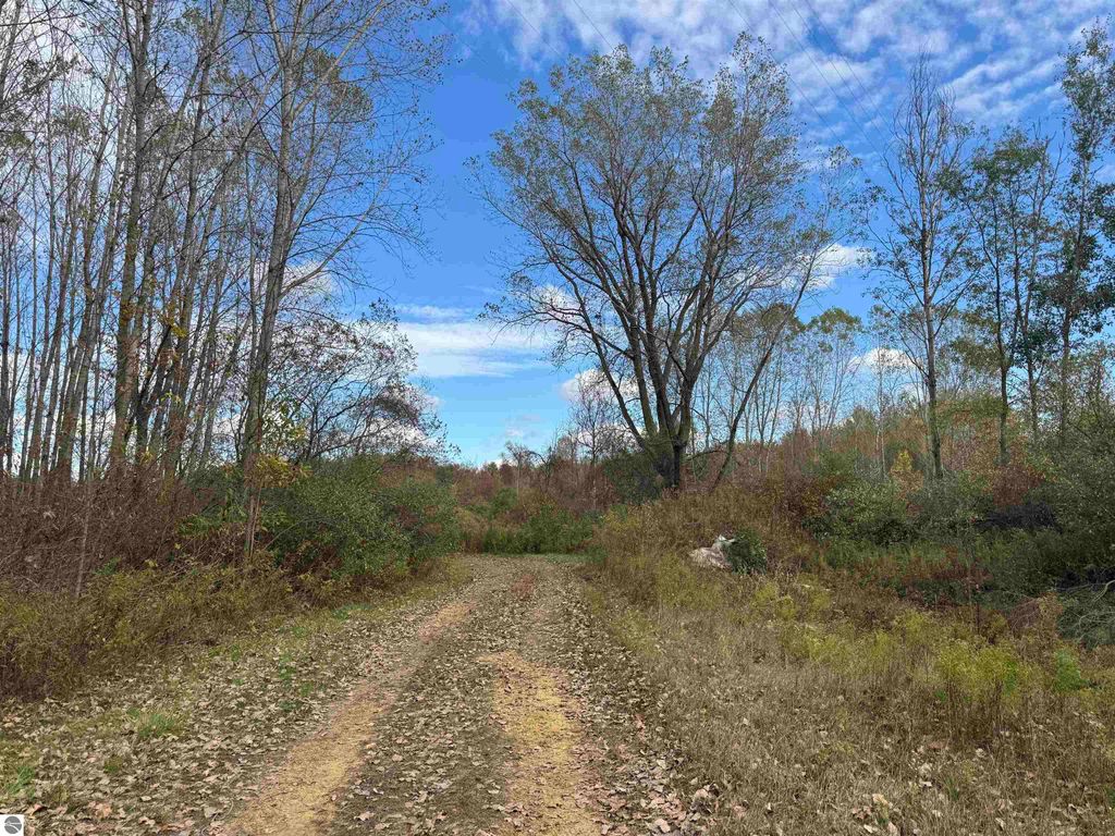Photo of 3331 Geneva Road, St Louis, MI 48880 (MLS # 1939610)