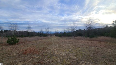 Tiny photo for 740 E East County Line Road, Kingsley, MI 49649 (MLS # 1940667)