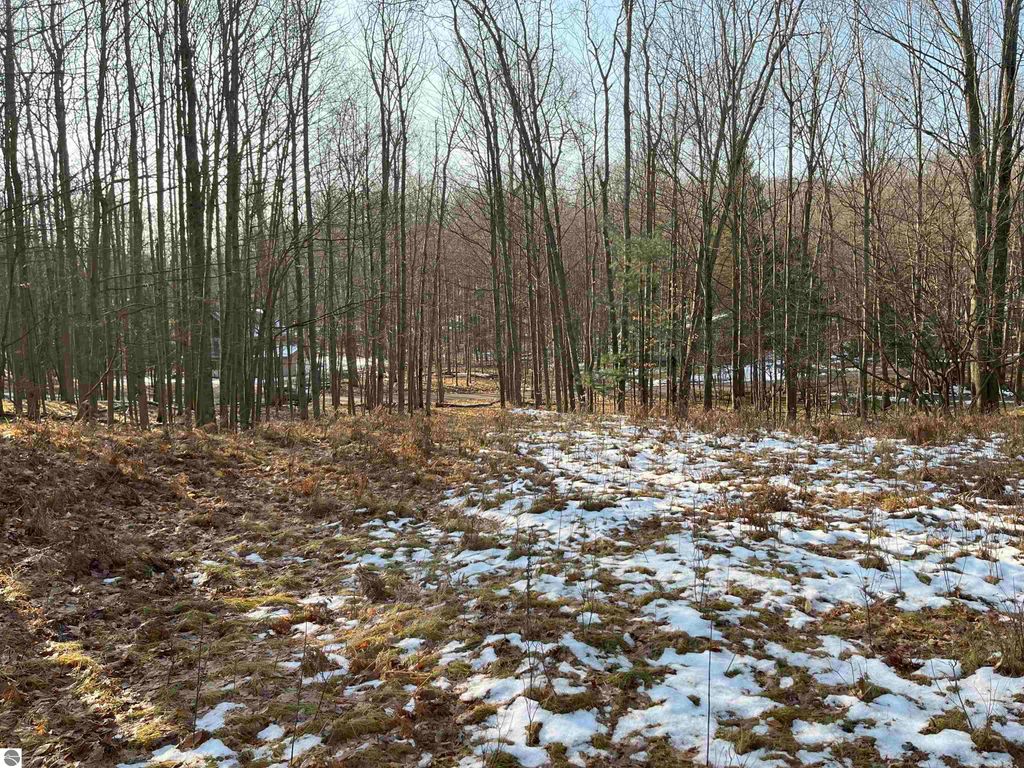 Photo of 9357 W Circle Drive, Stanwood, MI 49346 (MLS # 1936826)