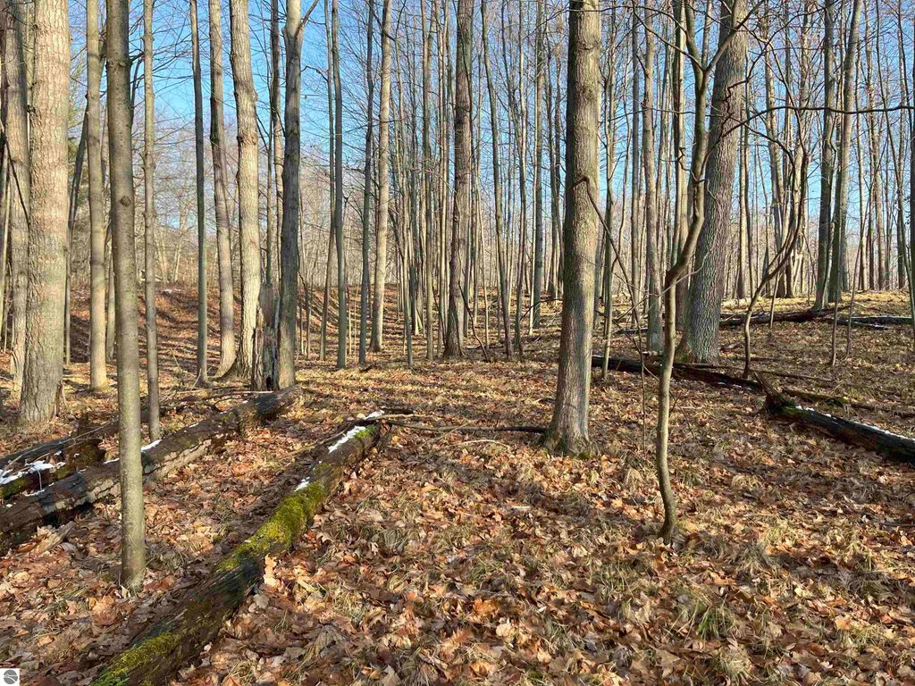 Photo of 9357 W Circle Drive, Stanwood, MI 49346 (MLS # 1936826)