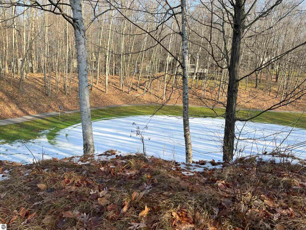 Photo of 9357 W Circle Drive, Stanwood, MI 49346 (MLS # 1936826)