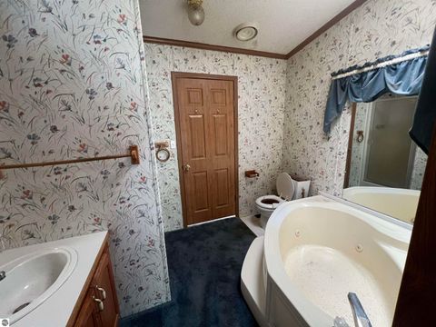 Tiny photo for 6664 Crystal, Johannesburg, MI 49751 (MLS # 1940854)