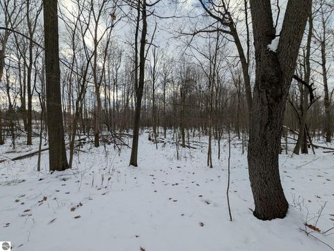 Tiny photo for 7105 Osborn Road, Elwell, MI 48832 (MLS # 1941036)