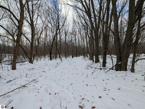 Tiny photo for 7105 Osborn Road, Elwell, MI 48832 (MLS # 1941036)