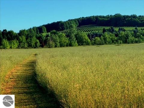 Tiny photo for 3362 S French Road, Cedar, MI 49621 (MLS # 1939555)