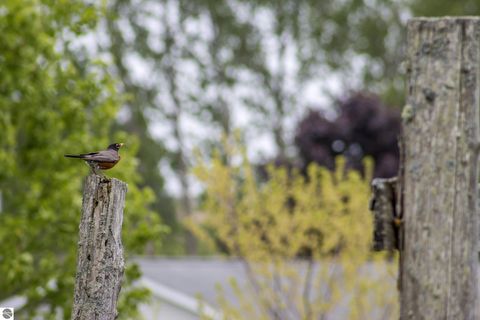 Tiny photo for 3362 S French Road, Cedar, MI 49621 (MLS # 1939555)