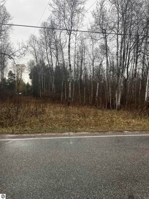 0 N MICHIGAN AVENUE, MANTON, MI 49663 - Image 92cc5a2359fa2cbdfcbff0a8927f0350/3747611325