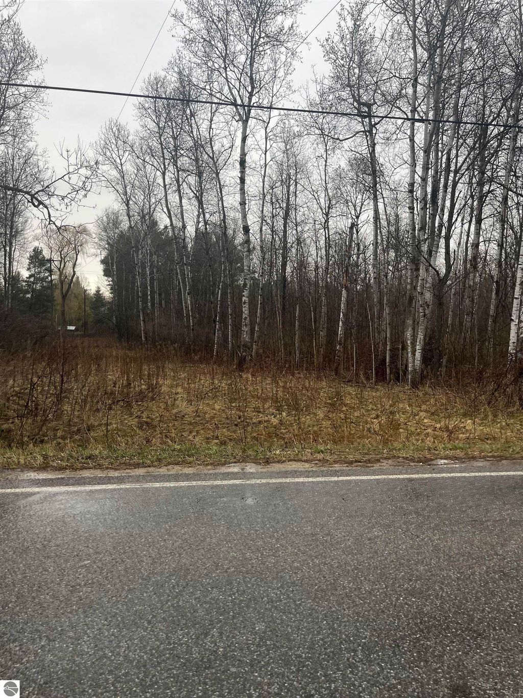 Photo of 0 N Michigan Avenue, Manton, MI 49663 (MLS # 1932593)