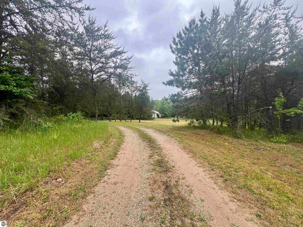 Photo of 8536 E 5 Mile Road, Luther, MI 49656 (MLS # 1939264)