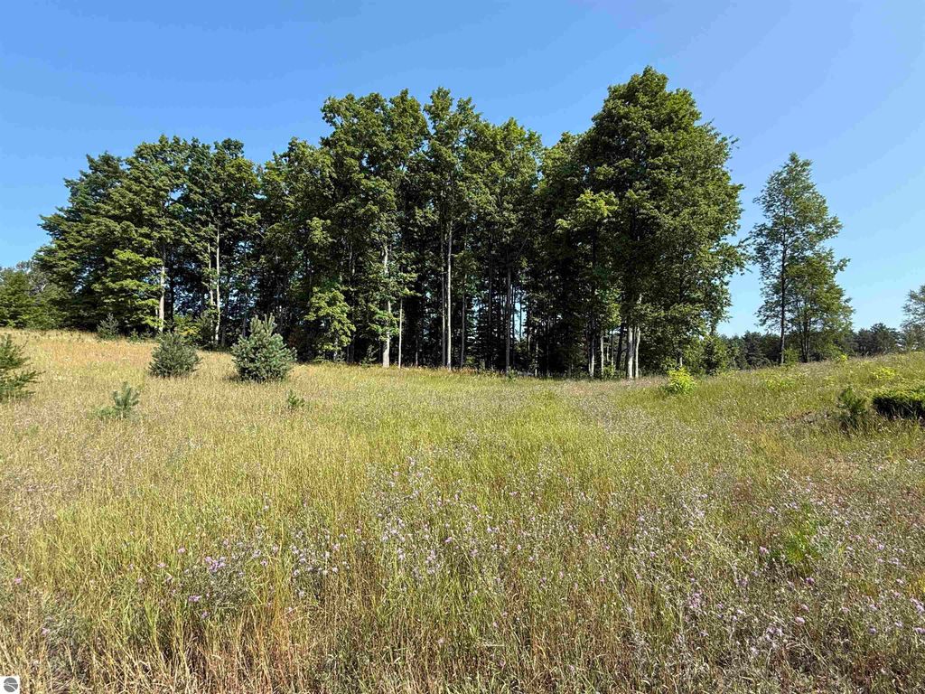 Photo of 6 S Bright Road, Maple City, MI 49664 (MLS # 1940369)