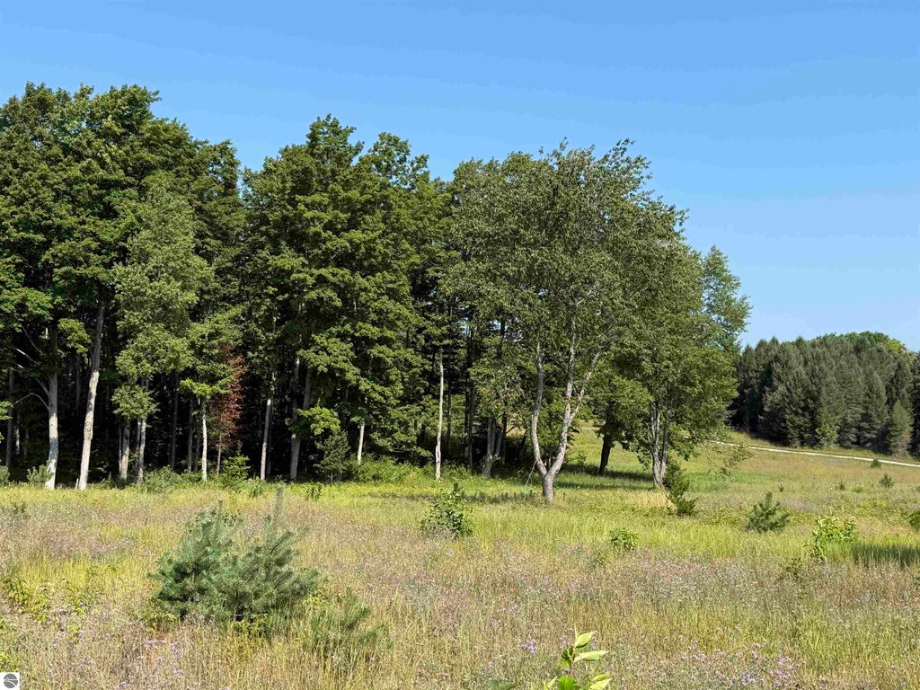 Photo of 6 S Bright Road, Maple City, MI 49664 (MLS # 1940369)