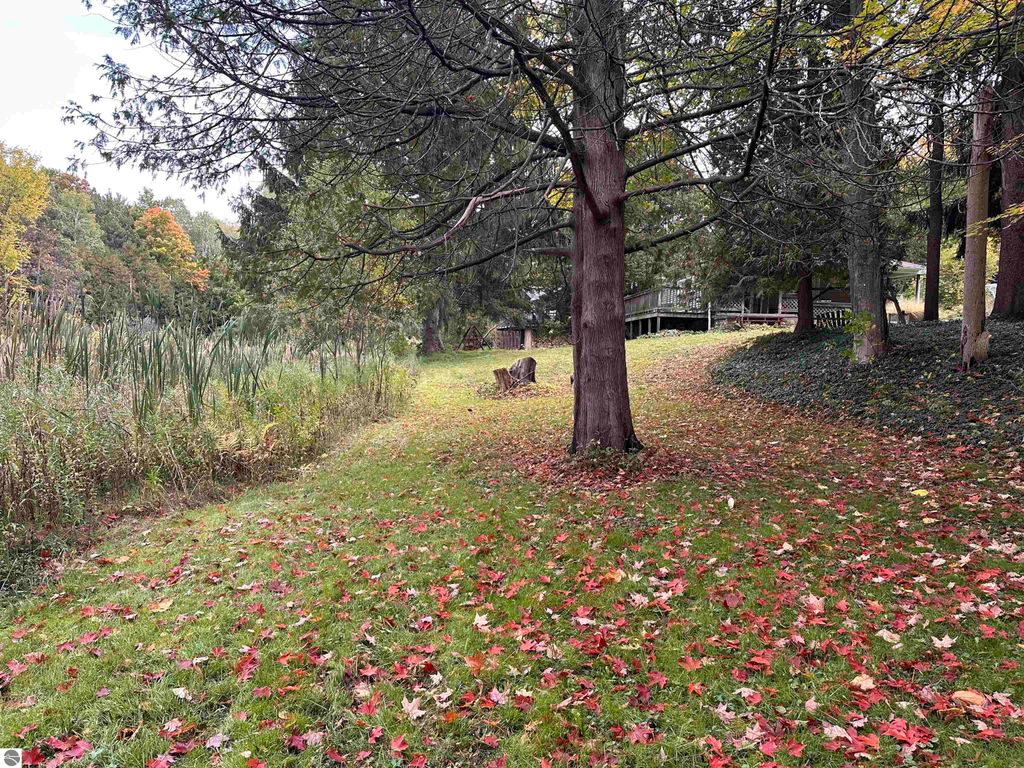 Photo of 9067 E Lincoln Road, Cedar, MI 49621 (MLS # 1939786)