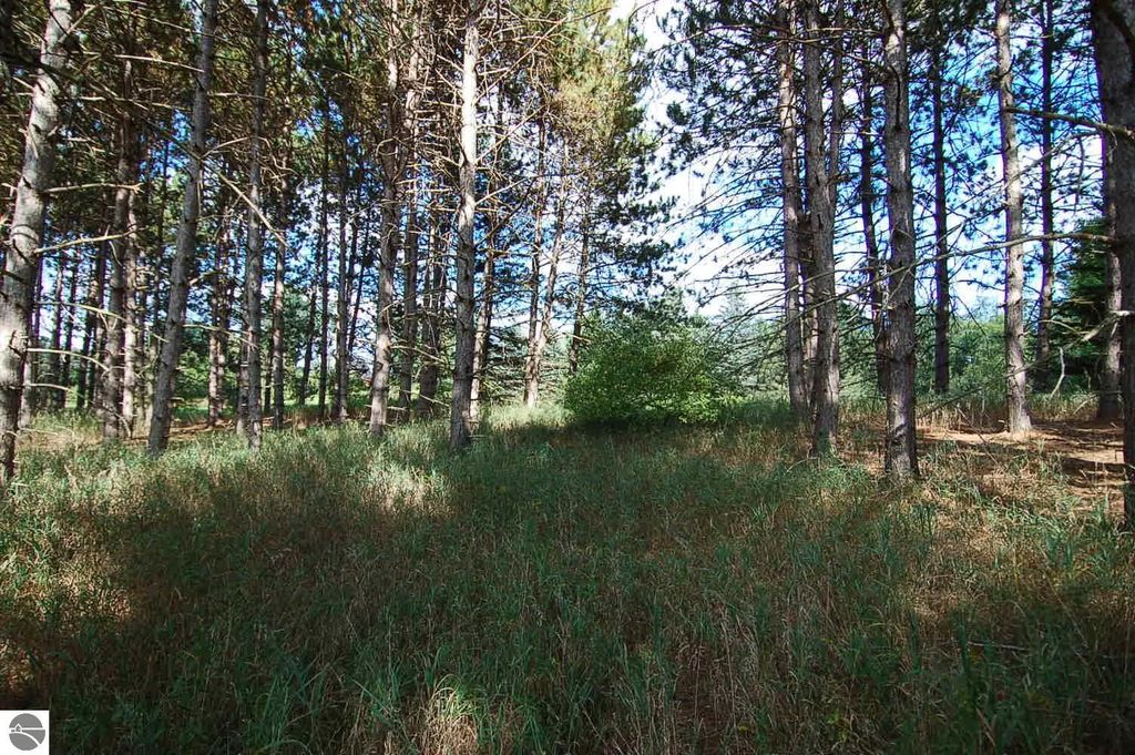 Photo of 10200 80th Avenue, Evart, MI 49631 (MLS # 1938995)