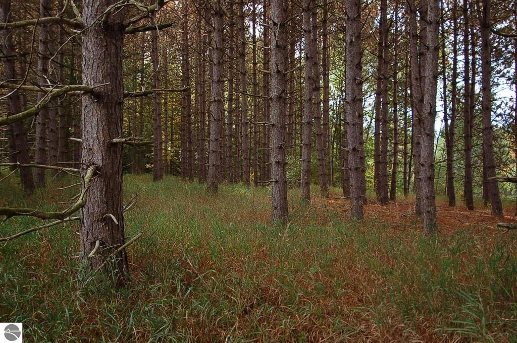 Photo of 10200 80th Avenue, Evart, MI 49631 (MLS # 1938995)