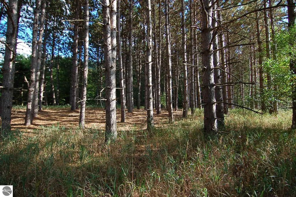 Photo of 10200 80th Avenue, Evart, MI 49631 (MLS # 1938995)