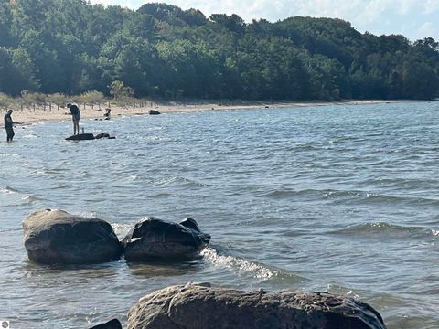 Tiny photo for 5299 M-66 North, East Jordan, MI 49727 (MLS # 1939700)