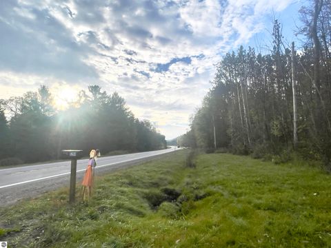 Tiny photo for 5299 M-66 North, East Jordan, MI 49727 (MLS # 1939700)