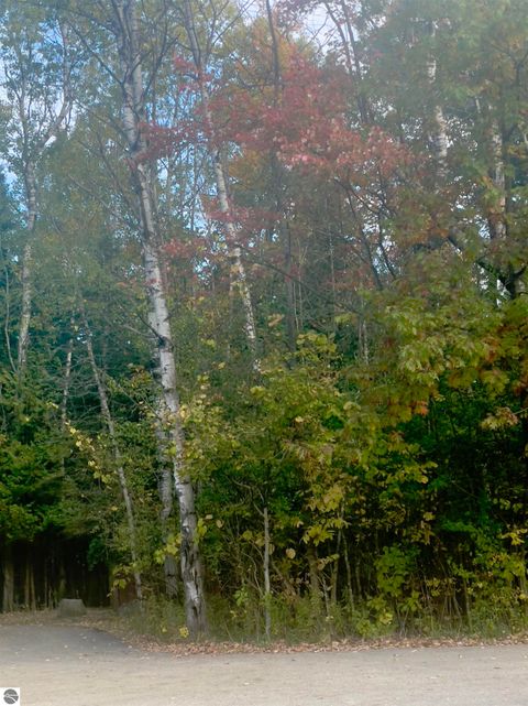 Tiny photo for 5299 M-66 North, East Jordan, MI 49727 (MLS # 1939700)