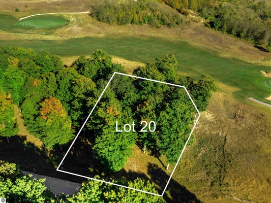 HEATHER RIDGE TRL, BEULAH, MI 49617 - Image 9812b88dd88641967f801e4affcff7cc/327935596