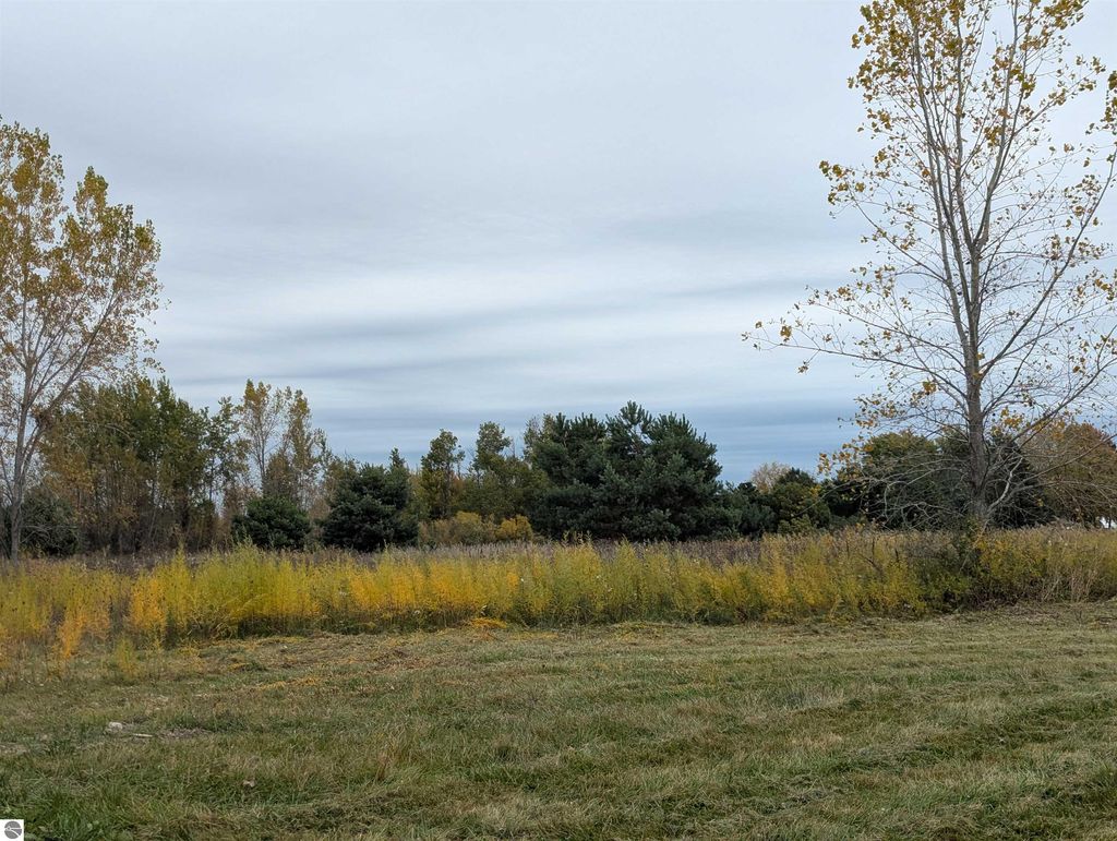 Photo of N/A Court Street, Au Gres, MI 48703 (MLS # 1939696)