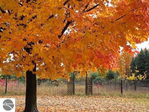 Tiny photo for 10039 McPherson Road, Alden, MI 49612 (MLS # 1939958)