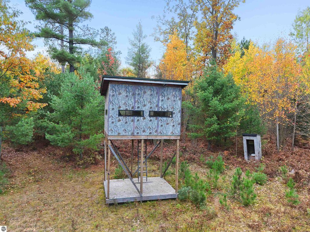 Photo of V/L 00 E Gaukel Road, Lake City, MI 49651 (MLS # 1939766)