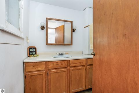 Tiny photo for 224 E Newark Street, Ithaca, MI 48847 (MLS # 1939566)