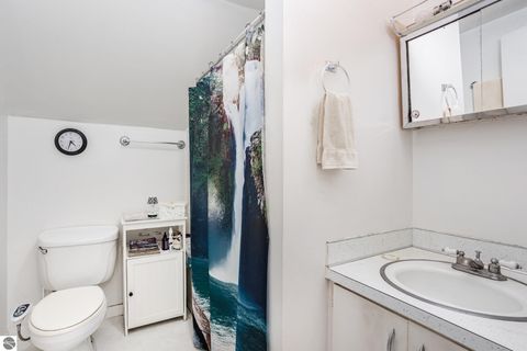 Tiny photo for 224 E Newark Street, Ithaca, MI 48847 (MLS # 1939566)