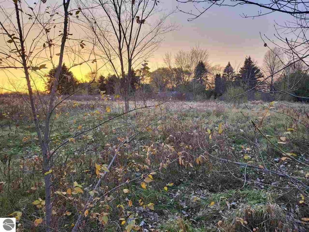 Photo of TBD Broomfield Street, Mt Pleasant, MI 48858 (MLS # 1935185)