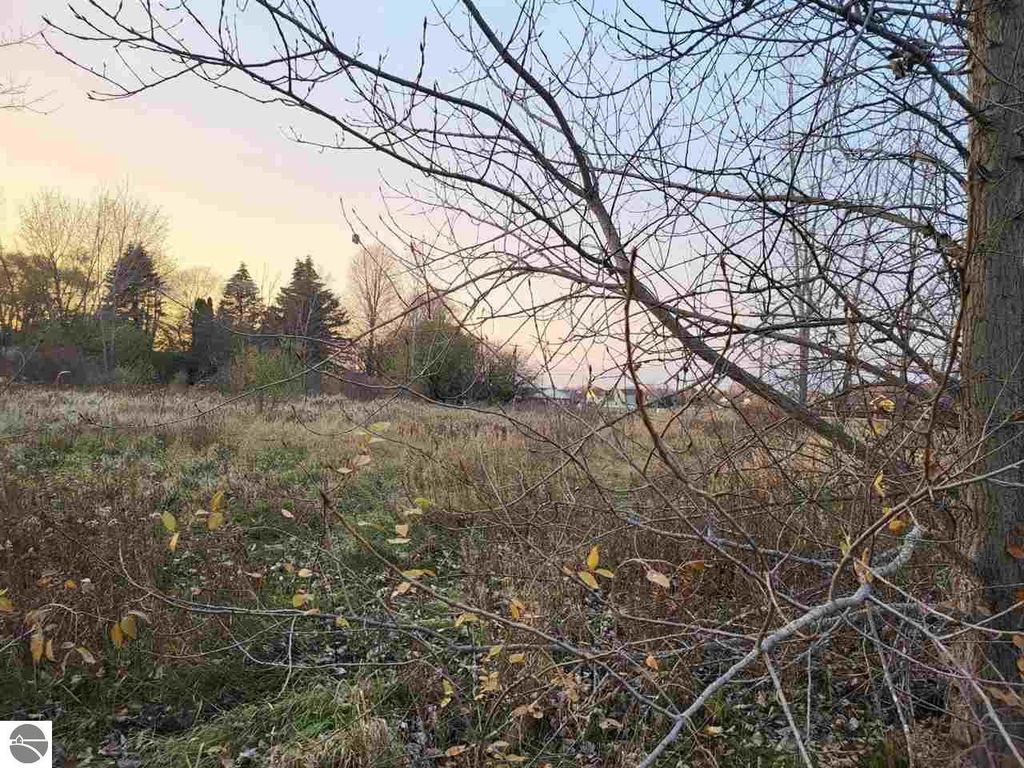 Photo of TBD Broomfield Street, Mt Pleasant, MI 48858 (MLS # 1935185)