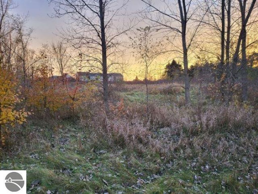 Photo of TBD Broomfield Street, Mt Pleasant, MI 48858 (MLS # 1935185)