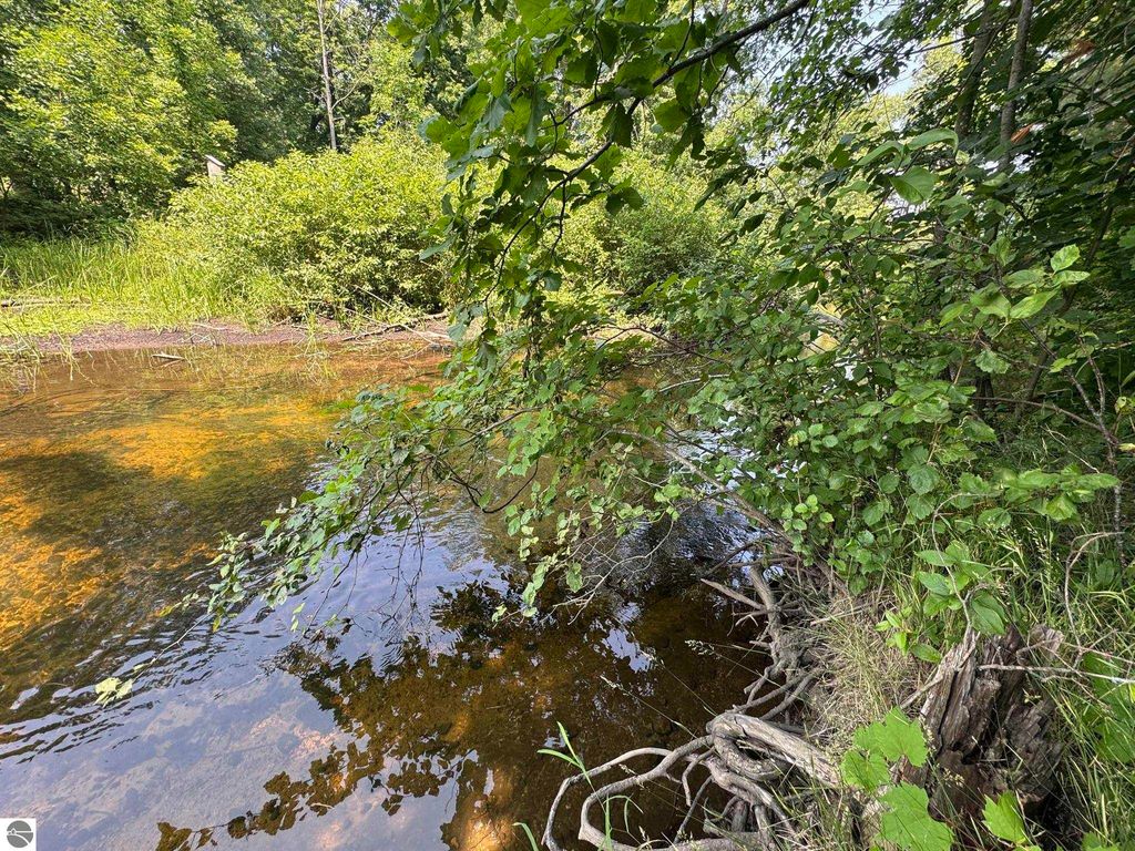 Photo of VL Elm Street, Merritt, MI 49667 (MLS # 1937232)