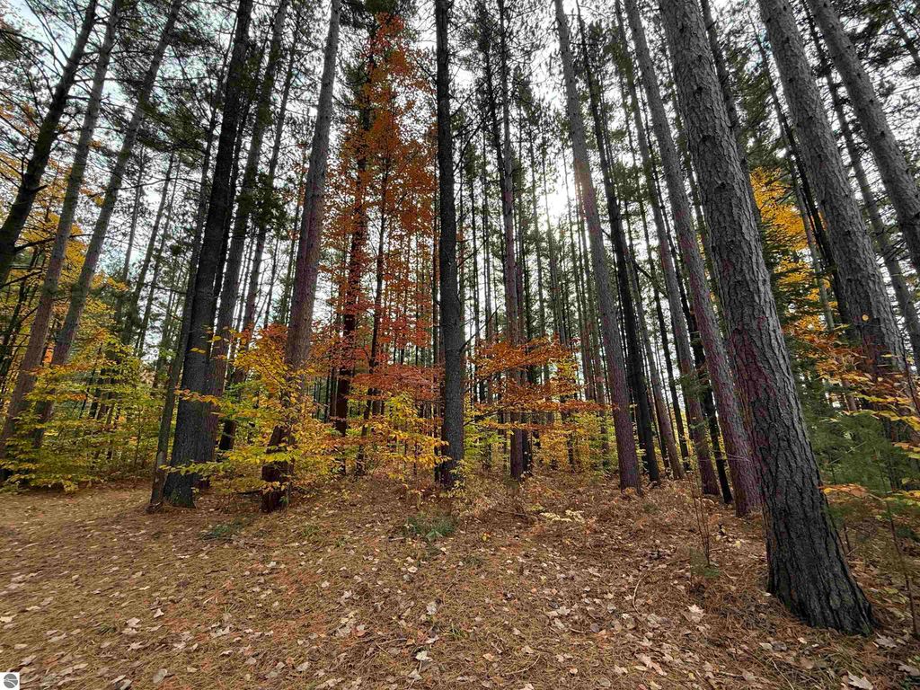 Photo of 1918 N Sharon Road, SE, Kalkaska, MI 49646 (MLS # 1939762)